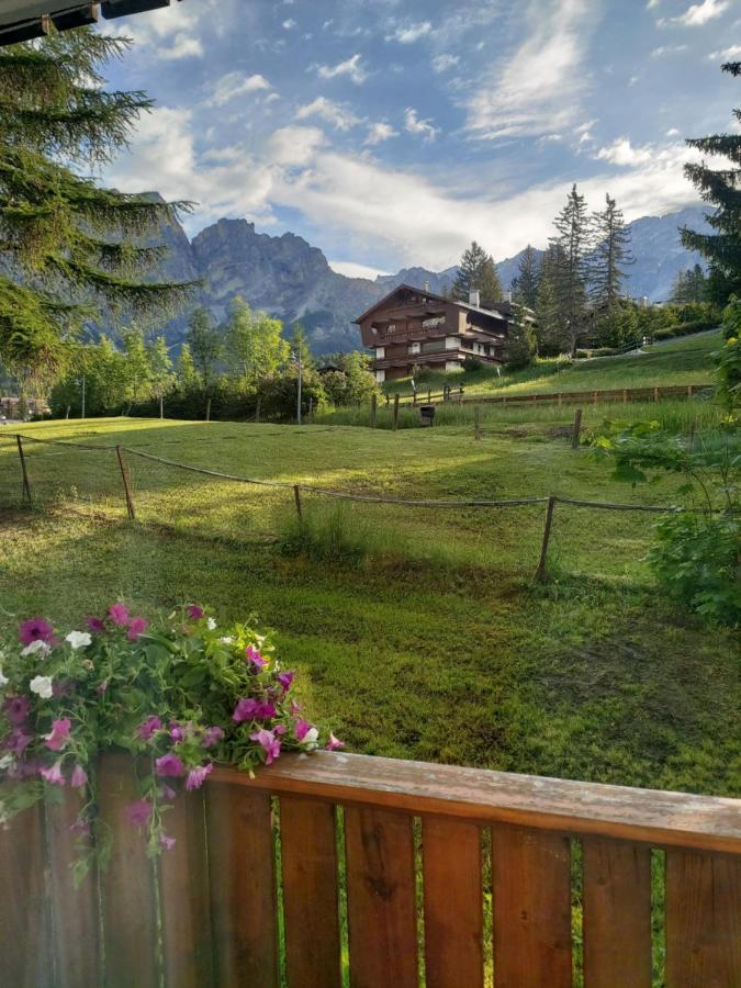 Appartamento Cortina 1956 Cortina d'Ampezzo Buitenkant foto